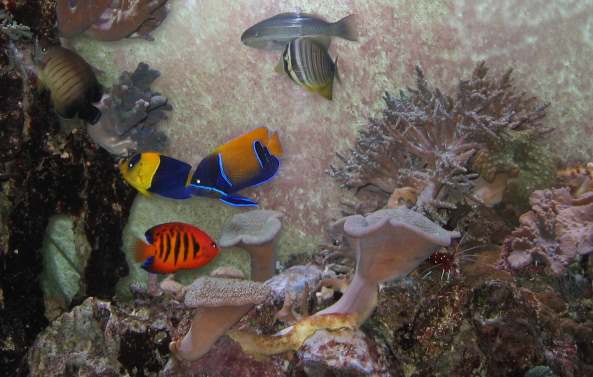 L�bbecke Museum und Aquazoo in D�sseldorf